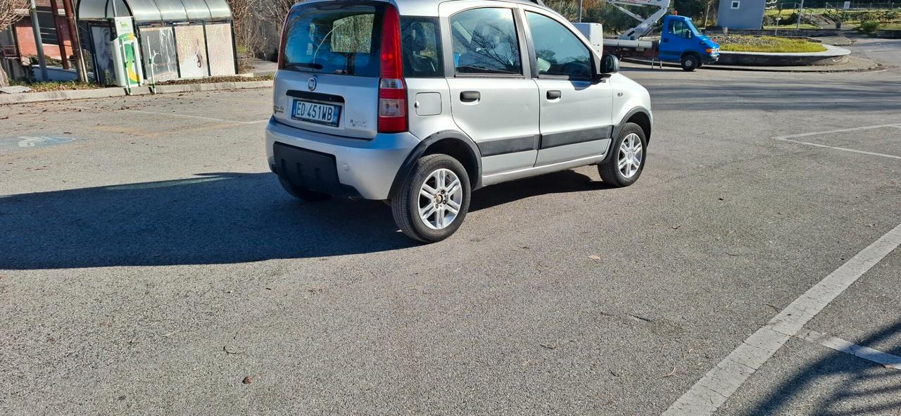 Fiat Panda 1.4 Climbing Natural Power