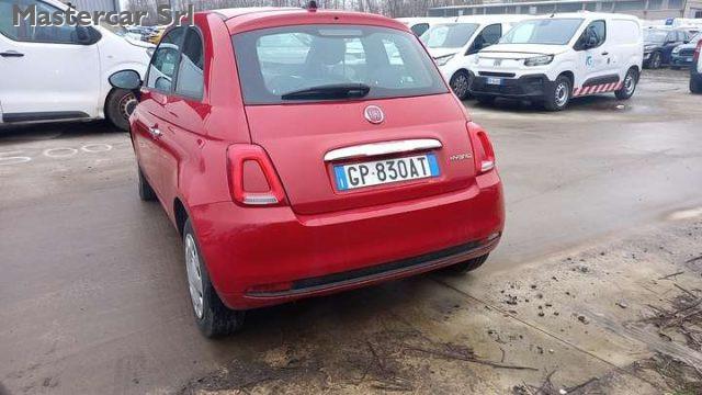 FIAT 500 NEOPATENTATI 500 1.0 hybrid 70cv TG : GP830AT