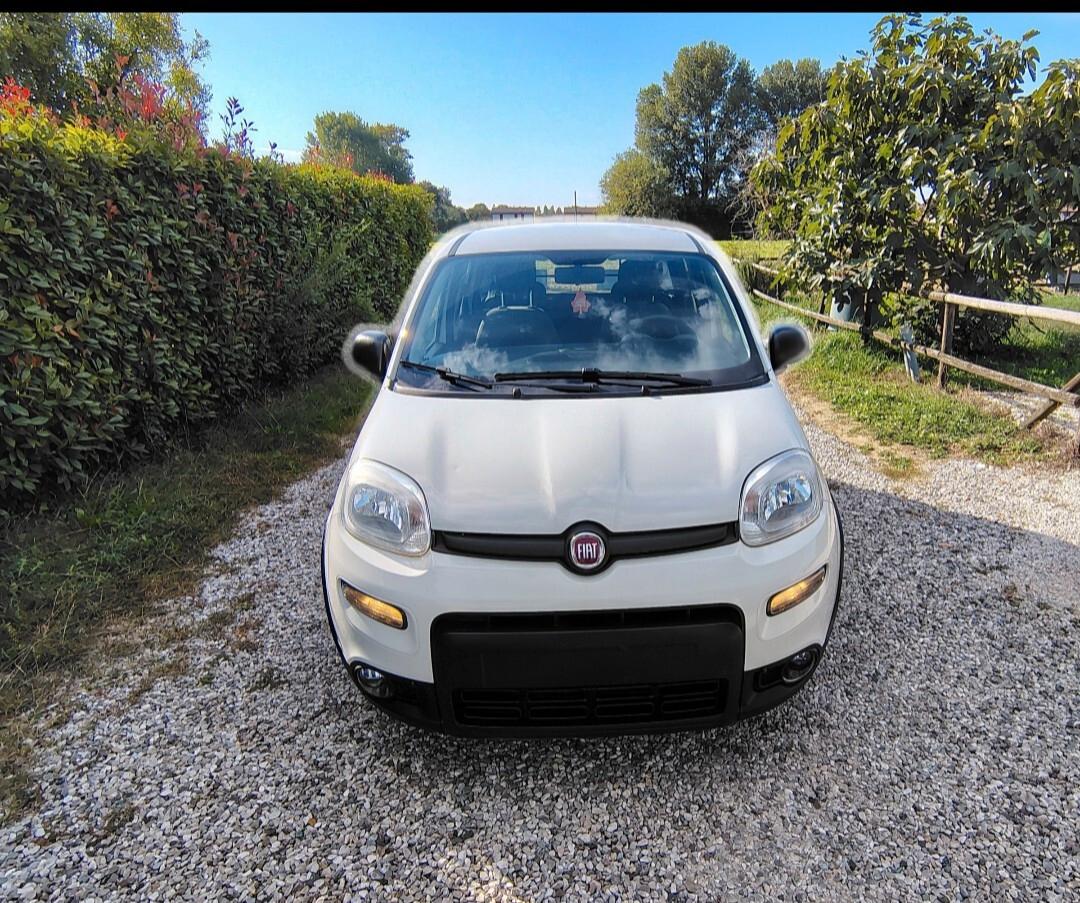 Fiat Panda 1.0 GSE S&S Hybrid Street Van 4 posti