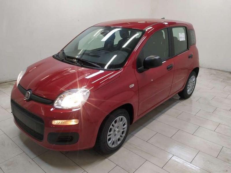 FIAT Pandina 1.0 firefly hybrid Icon s&s 70cv 5p.ti