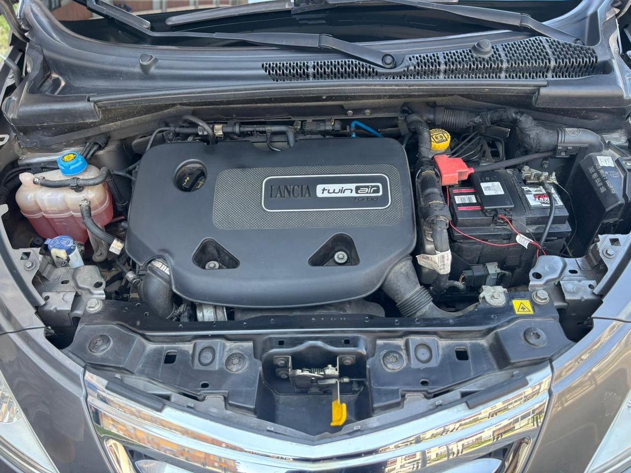 Lancia Ypsilon 0.9 Ecochic Gold #5874
