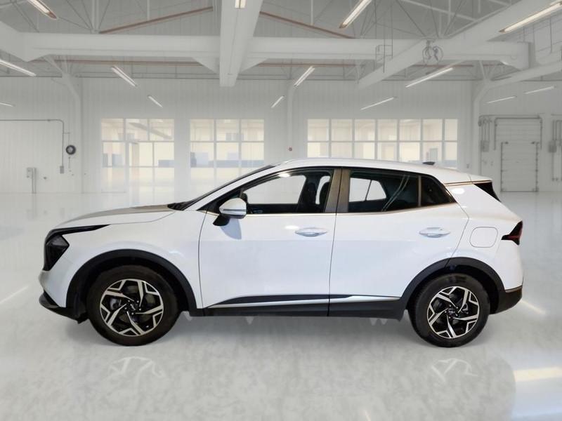 KIA SPORTAGE 1.6 CRDI MHEV BUSINESS 2WD