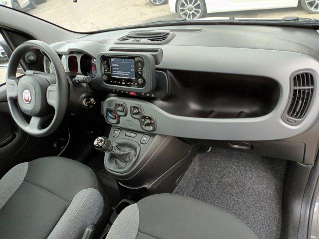 FIAT New Panda 1000 HYBRID CITY LIFE 70CV GRIGIO MAESTRO ITALIA