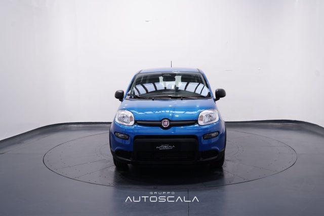 FIAT New Panda My25 1.0 FireFly S&S Hybrid #Pack City #5posto