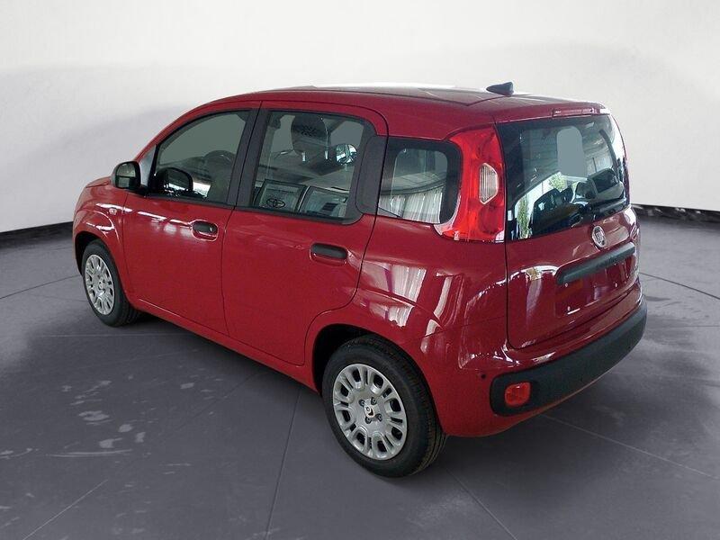 FIAT Panda NEW My25 1.0 70cv Hybrid Panda