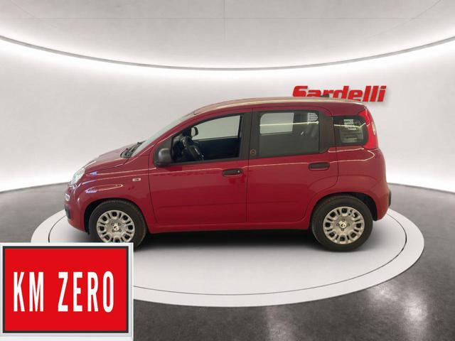 FIAT Pandina 1.0 FireFly 65 CV Hybrid Icon