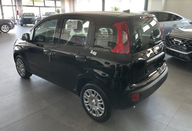 FIAT Panda 1.0 Hybrid 70 CV Icon KM0 MY 26