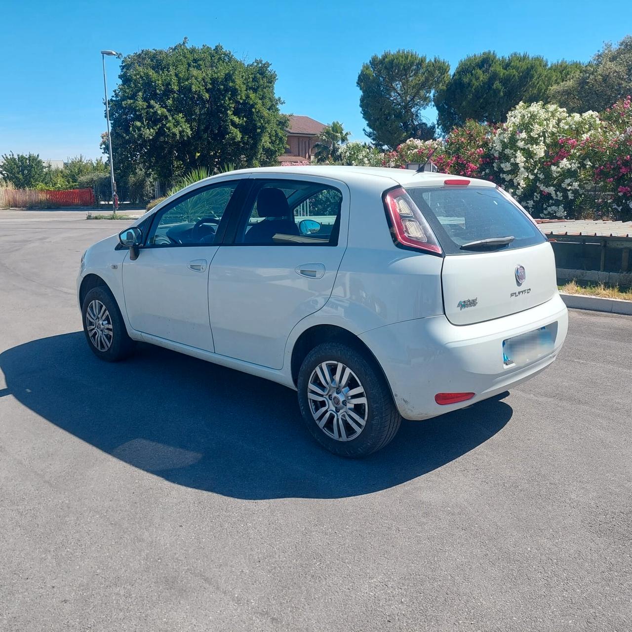 Fiat Punto 1.4 8V 5 porte Natural Power Street