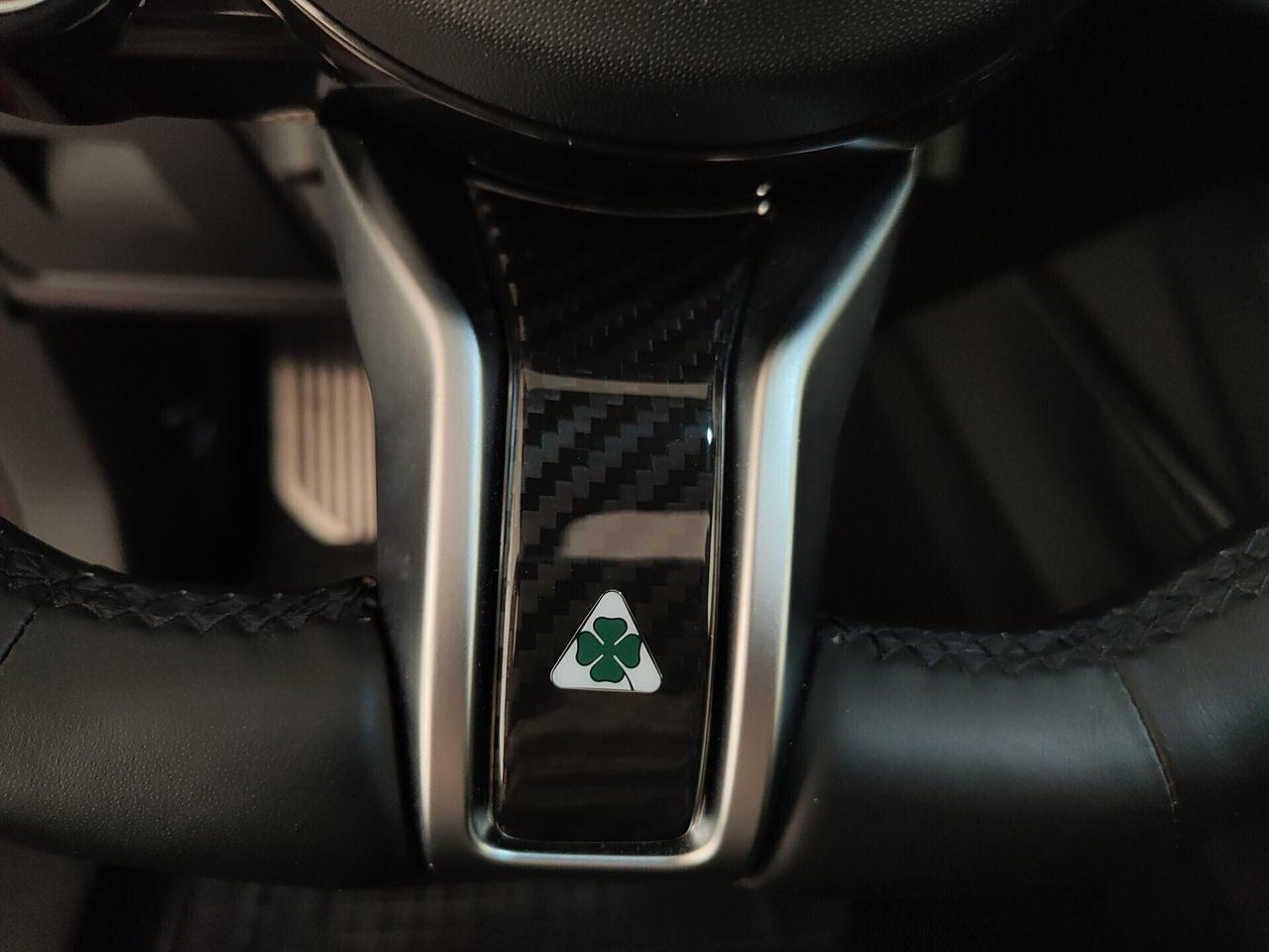 Alfa Romeo Stelvio 2.9 Bi-Turbo V6 520 CV AT8 Q4 Quadrifoglio 100° ANNIVERSARIO