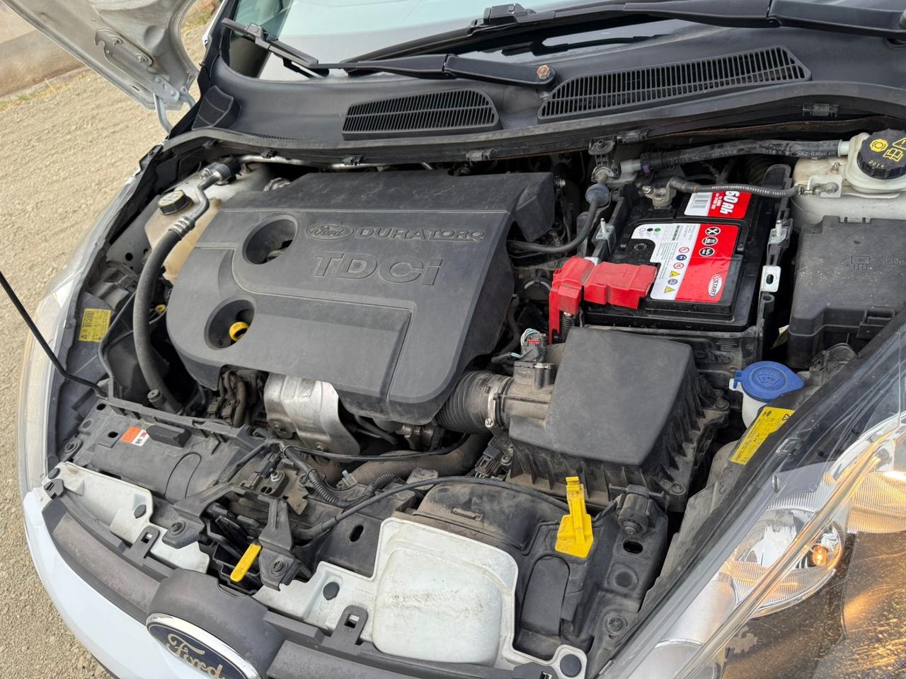 FORD FIESTA 1.4 DIESEL 79 MILA KM UNICO PROPRIETARIO