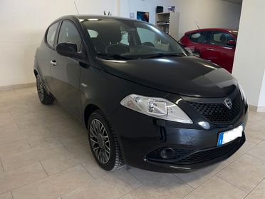Lancia Y Ypsilon FULL OP 1.2 GPL NUOVO Platinum TAGL DISTRIB NEOPATENTATI