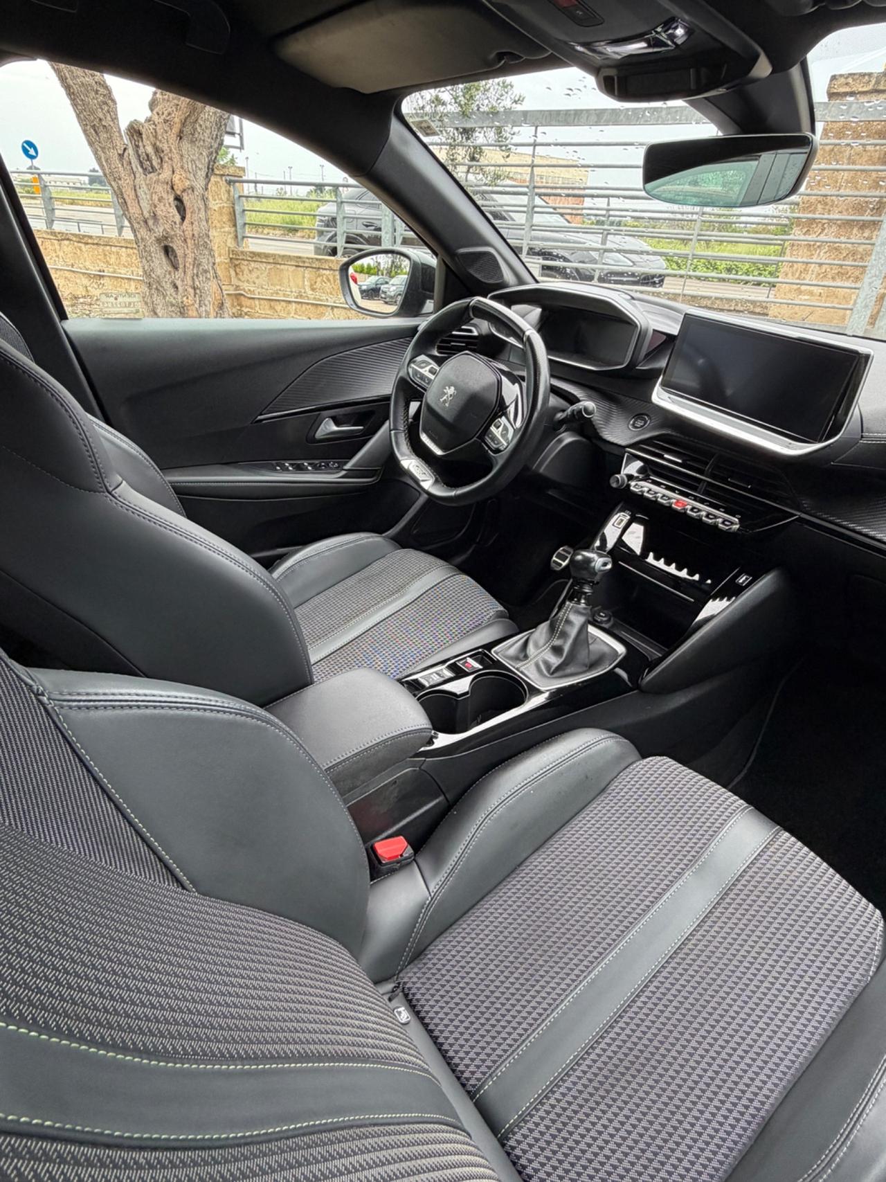 Peugeot 208 BlueHDi 100 Stop&Start 5 porte GT Line