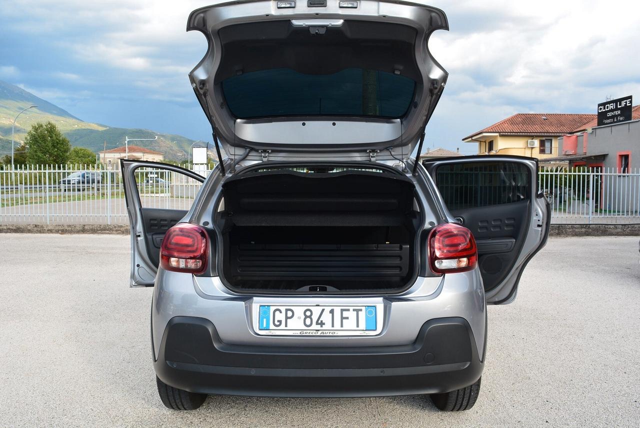 Citroen C3 BlueHDi 100 S&S Van Feel 2 posti