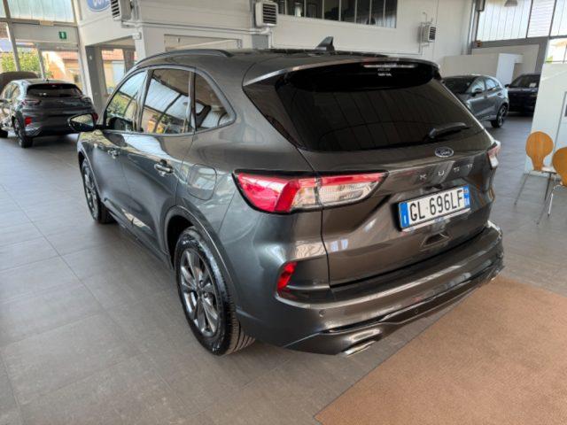 FORD Kuga 1.5 EcoBlue 120 CV AUT 2WD ST-Line