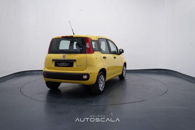FIAT New Panda My25 1.0 FireFly S&S Hybrid