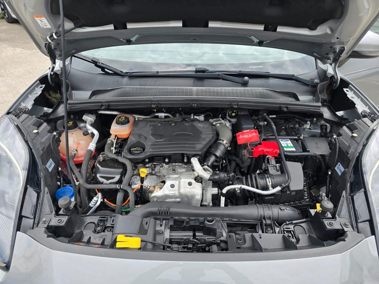 Ford Puma 1.5 EcoBlue ST-Line 120 cv - 2020