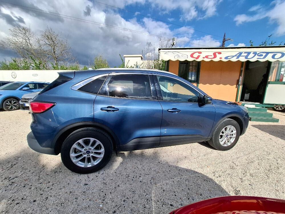 Ford Kuga 2.0 EcoBlue Hybrid 150 CV 2WD Titanium Business