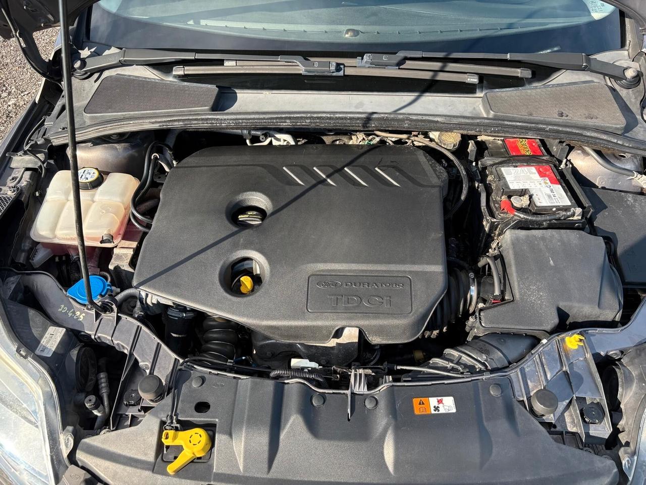 Ford Focus 1.6 TDCi 115 CV Individual