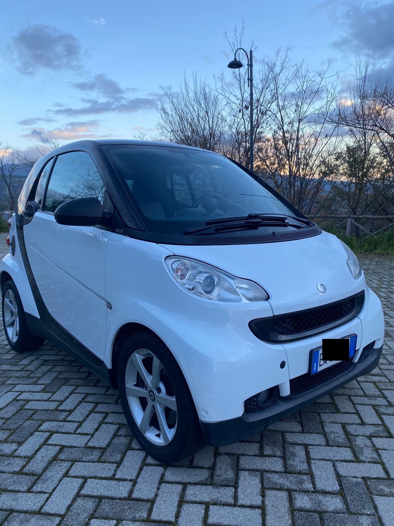 Smart Fortwo 800CDI 2010