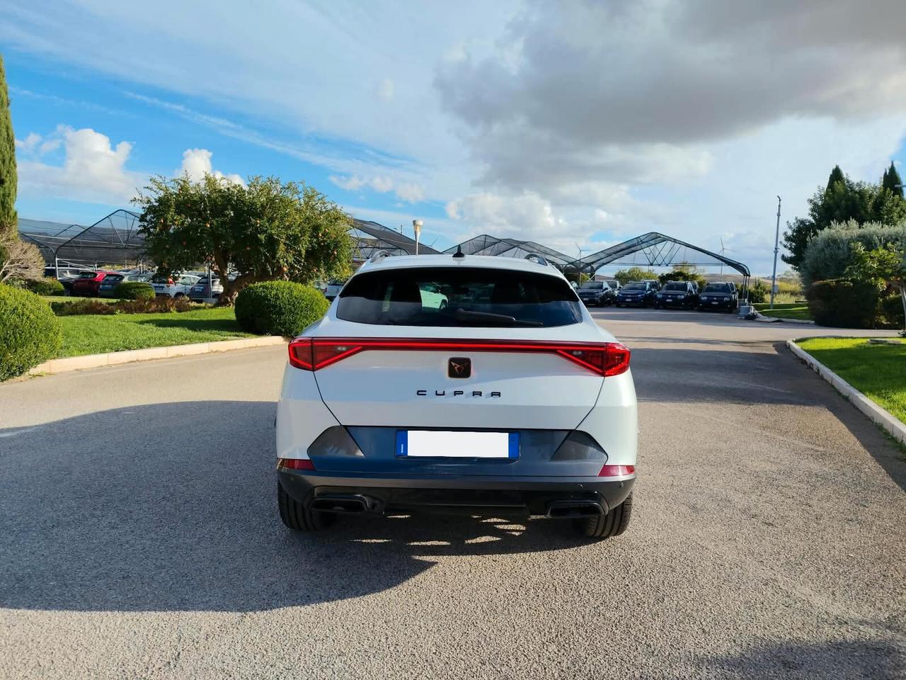 Cupra Formentor 2.0 TDI 4Drive DSG
