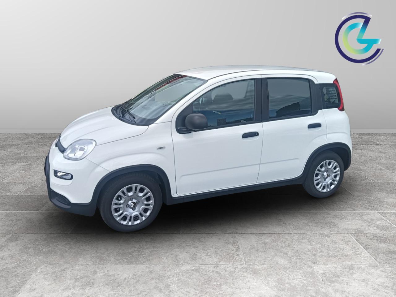 FIAT Panda III 2024 - Panda 1.0 firefly hybrid s&s 70cv