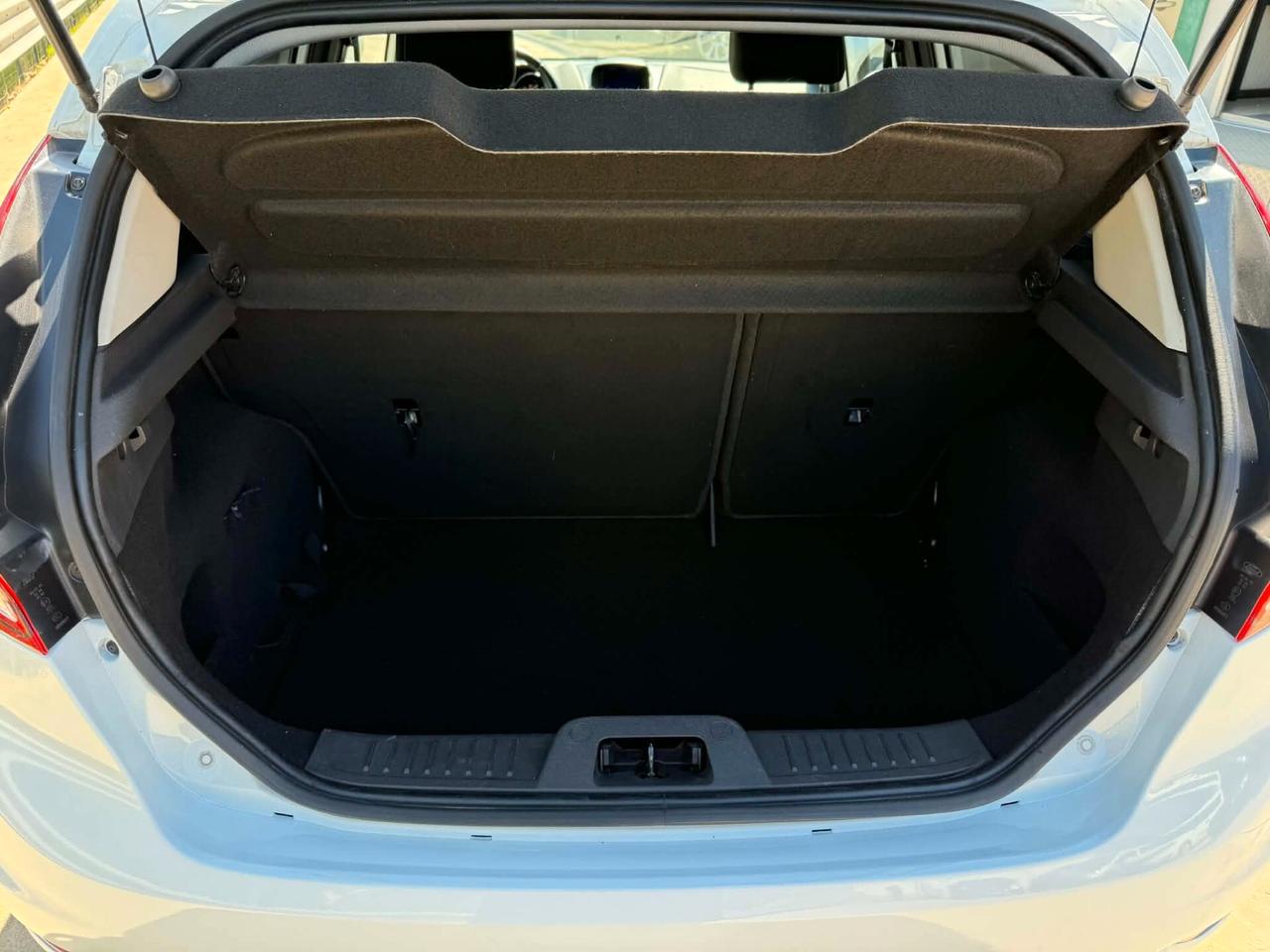 Ford Fiesta 1.5 TDCi 75CV 5 porte Titanium 2014