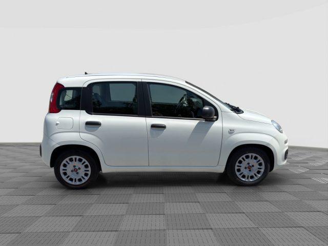 FIAT Panda Panda 1.0 FireFly Hybrid