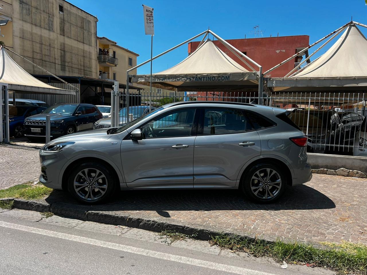 Ford Kuga 1.5 EcoBlue 120 CV aut. 2WD ST-Line