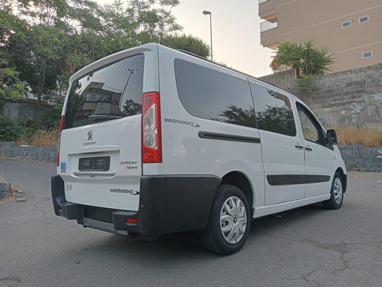 Peugeot Expert Pianale ribassato con rampa disabili 2 carrozzine