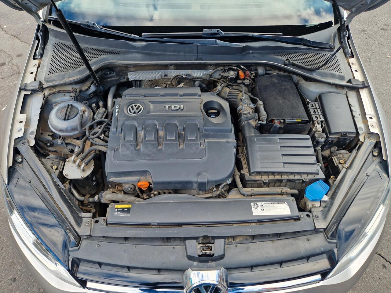 Volkswagen Golf 1.6 TDI 5p. 4MOTION Highline BlueMotion Technology