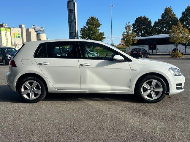 VOLKSWAGEN Golf 1.4 TGI DSG 5p. Executive BlueMotion