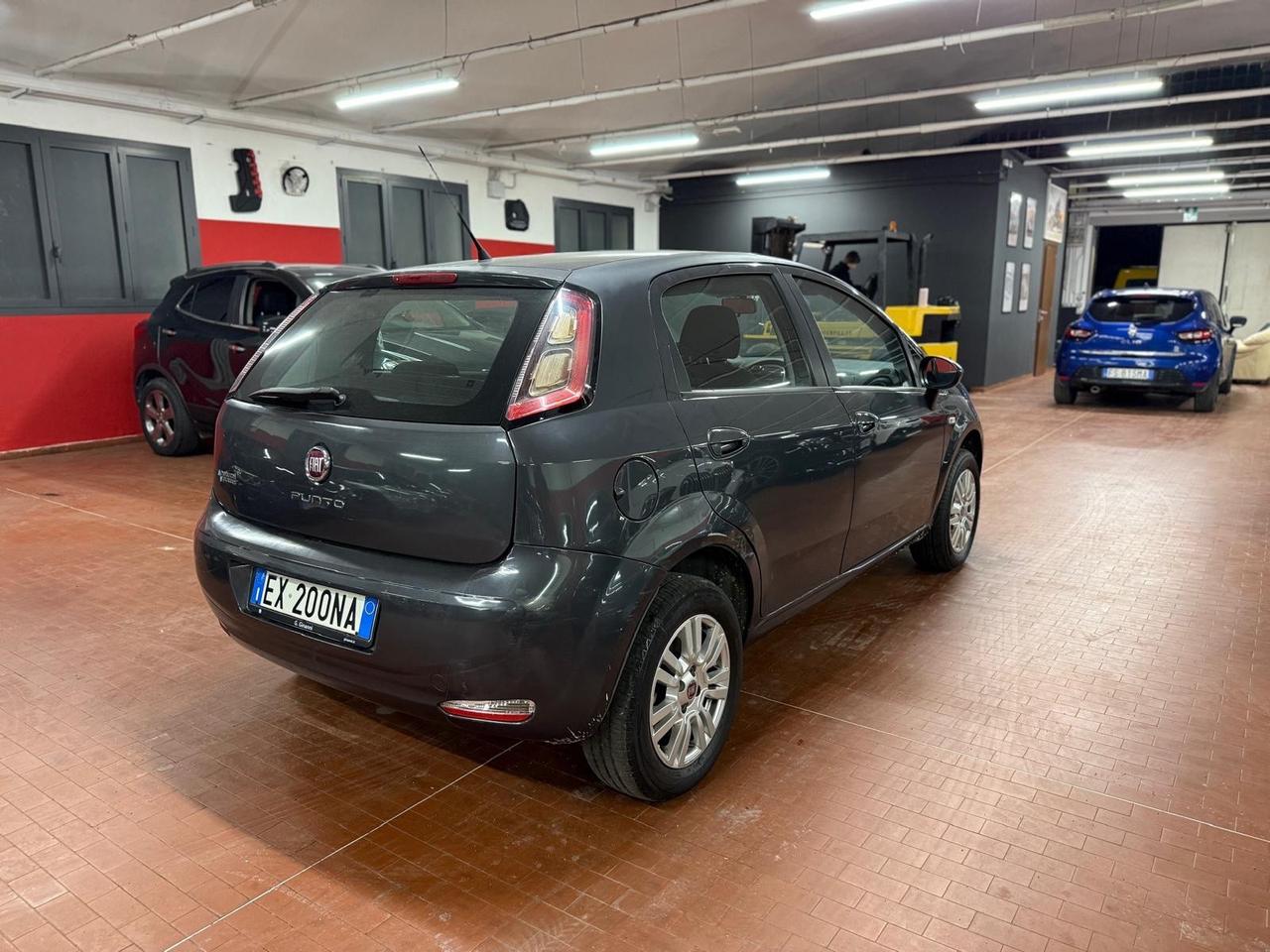 Fiat Punto 1.4 8V 5 porte Natural Power Street