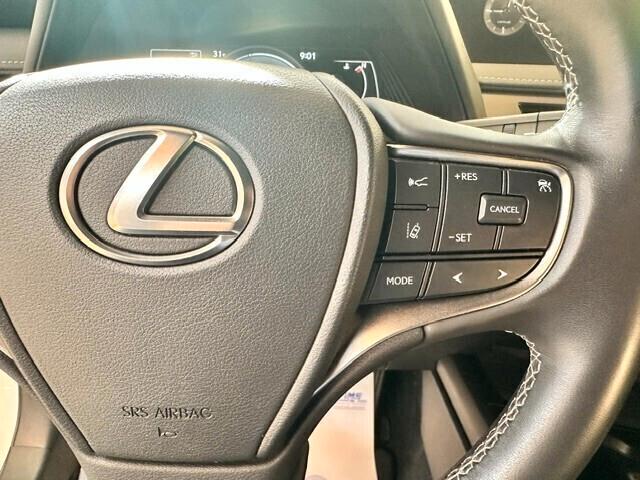 Lexus UX Hybrid Business