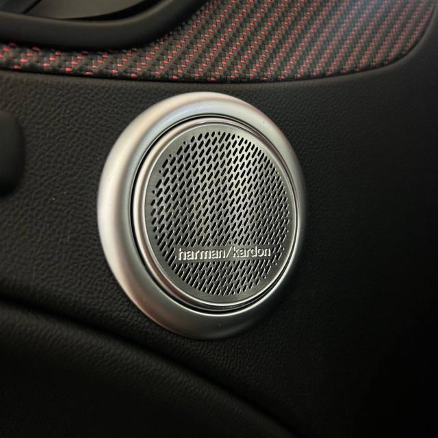 ALFA ROMEO Stelvio 2.9 Bi-Turbo V6 Quadrifoglio Super Sport 1 OF 175