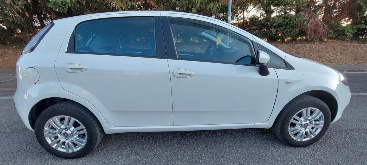 PUNTO 1,4 FIRE NATURAL POWER METANO DI SERIE FIAT LEGA CRUISE SENSORI IMPECCABILE