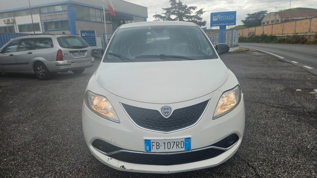 Lancia Ypsilon 1.3 MJT 16V 95 CV 5 porte S&S Platinum