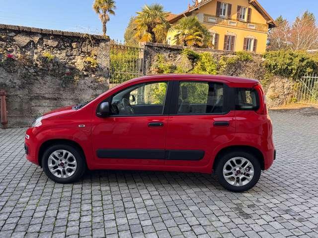 Fiat Panda 1.2 Easy *OK Neopatentati*