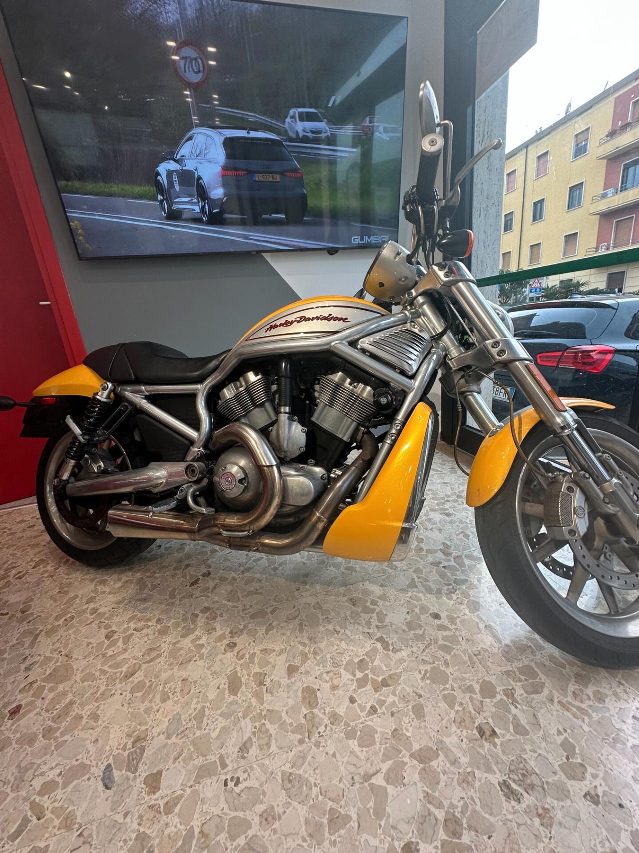 HARLEY-DAVIDSON V-ROD