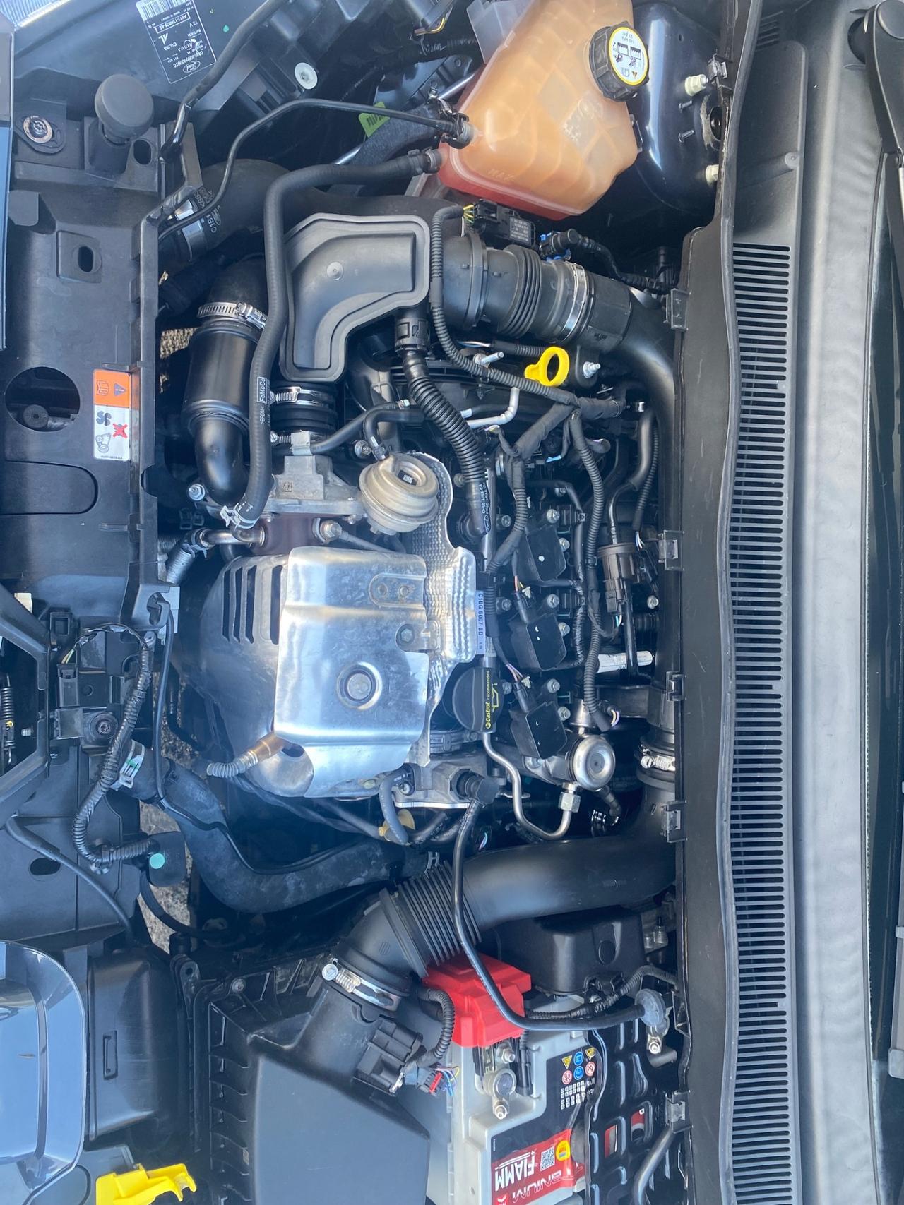 Ford B-Max 1.0 EcoBoost 100 CV Titanium