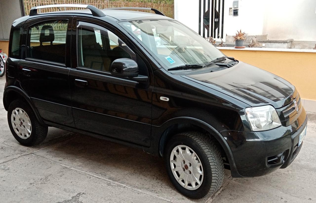 Fiat Panda 1.3 MJT 16V DPF 4x4 Climbing