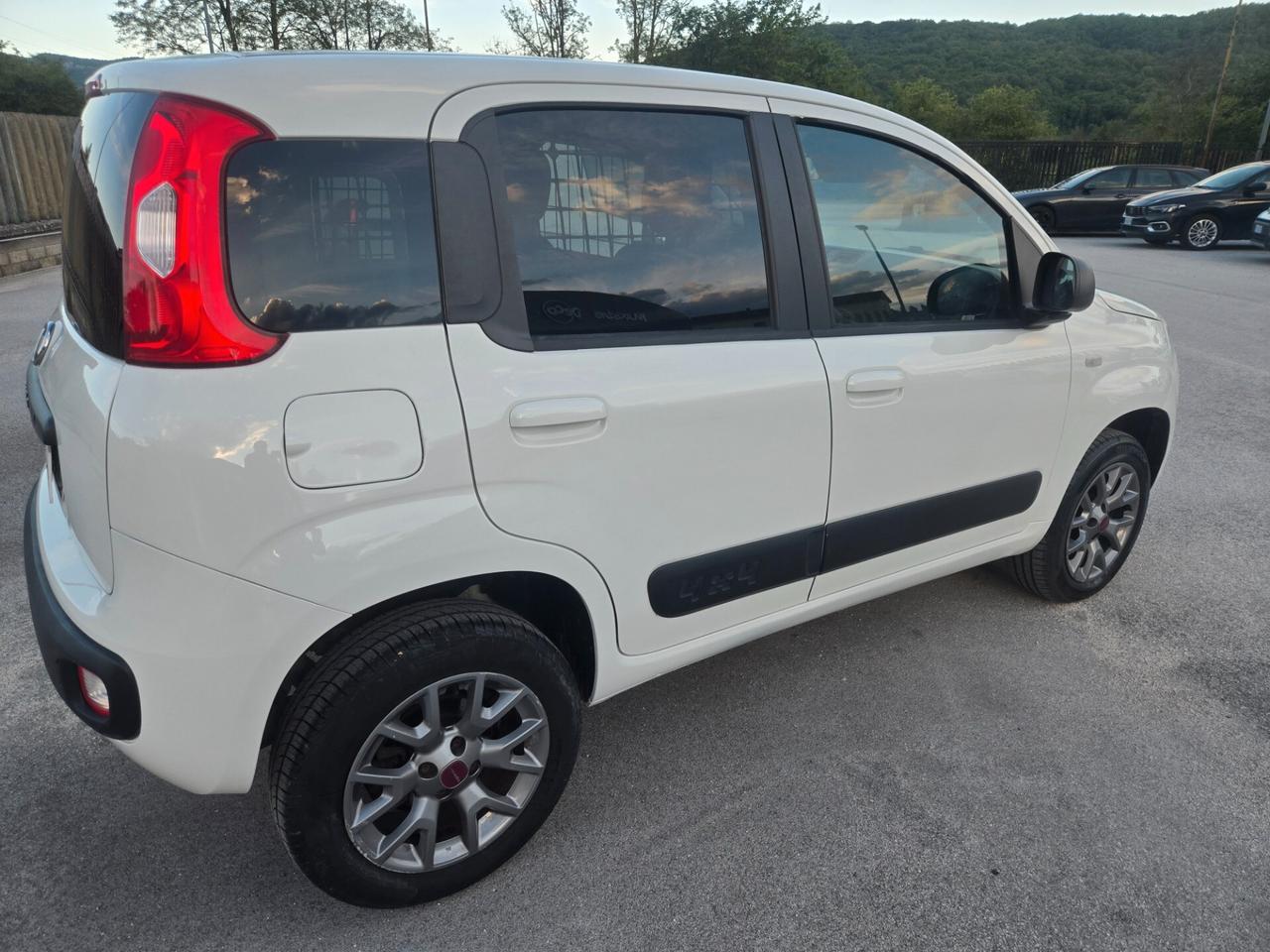 Fiat Panda 1.3 MJT 4x4 Pop Van 2 posti