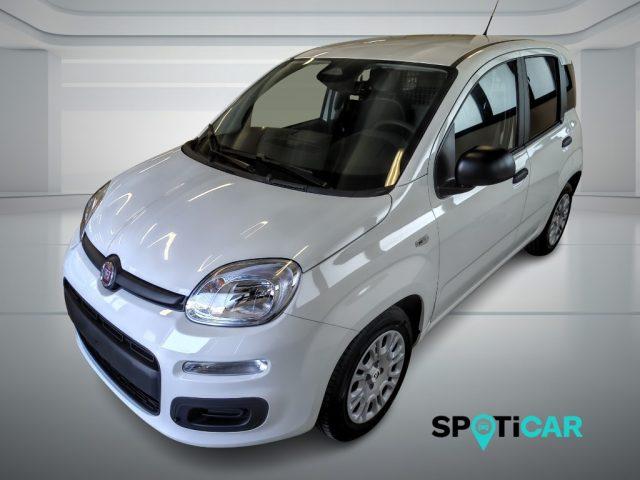 FIAT Panda Pandina Van Pop 1.0 Hybrid 65cv S&S -2 Posti