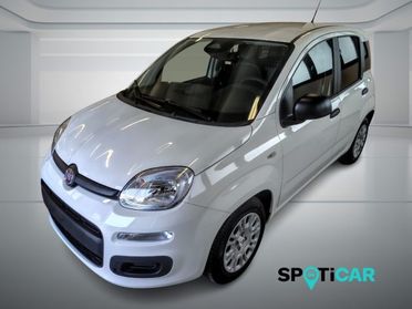 FIAT Panda Pandina Van Pop 1.0 Hybrid 65cv S&S -2 Posti