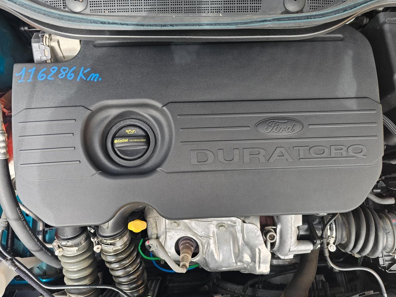 Ford Fiesta 1.5 TDCi 5 porte ST-Line