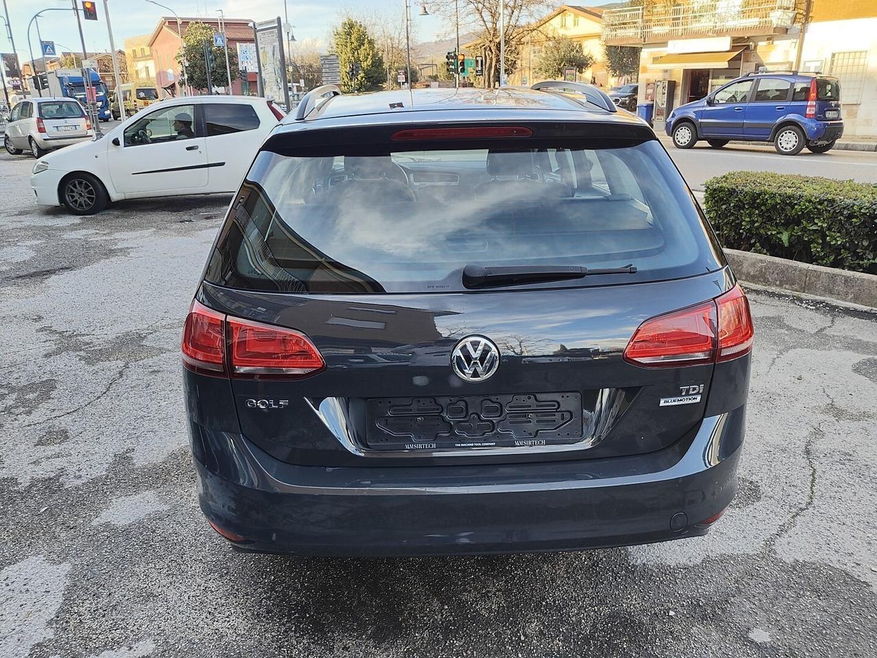 VOLKSWAGEN Golf Variant 1.6 TDI 90 CV Trendline