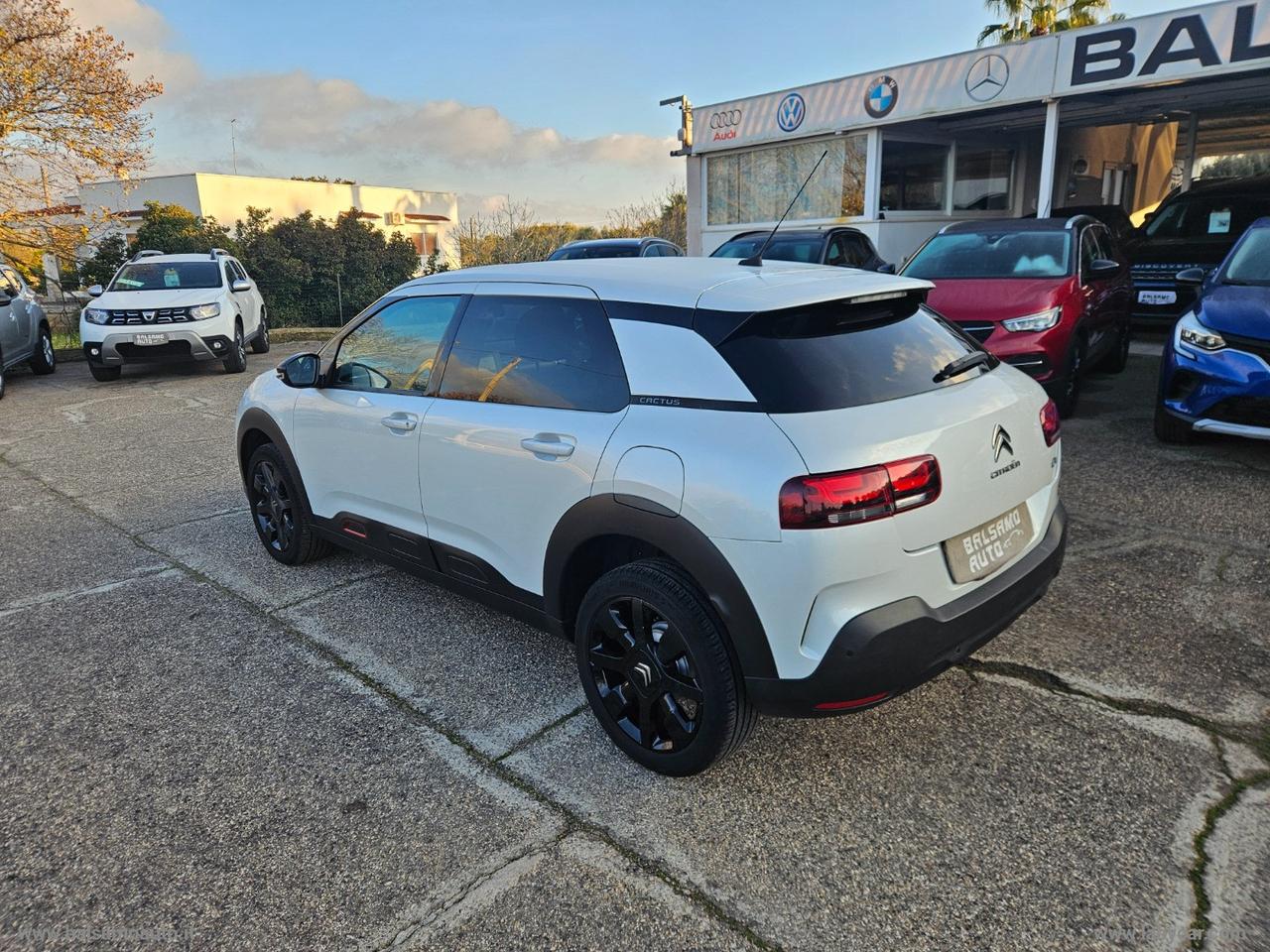 CITROEN C4 Cactus BlueHDi 100 S&S Shine N1