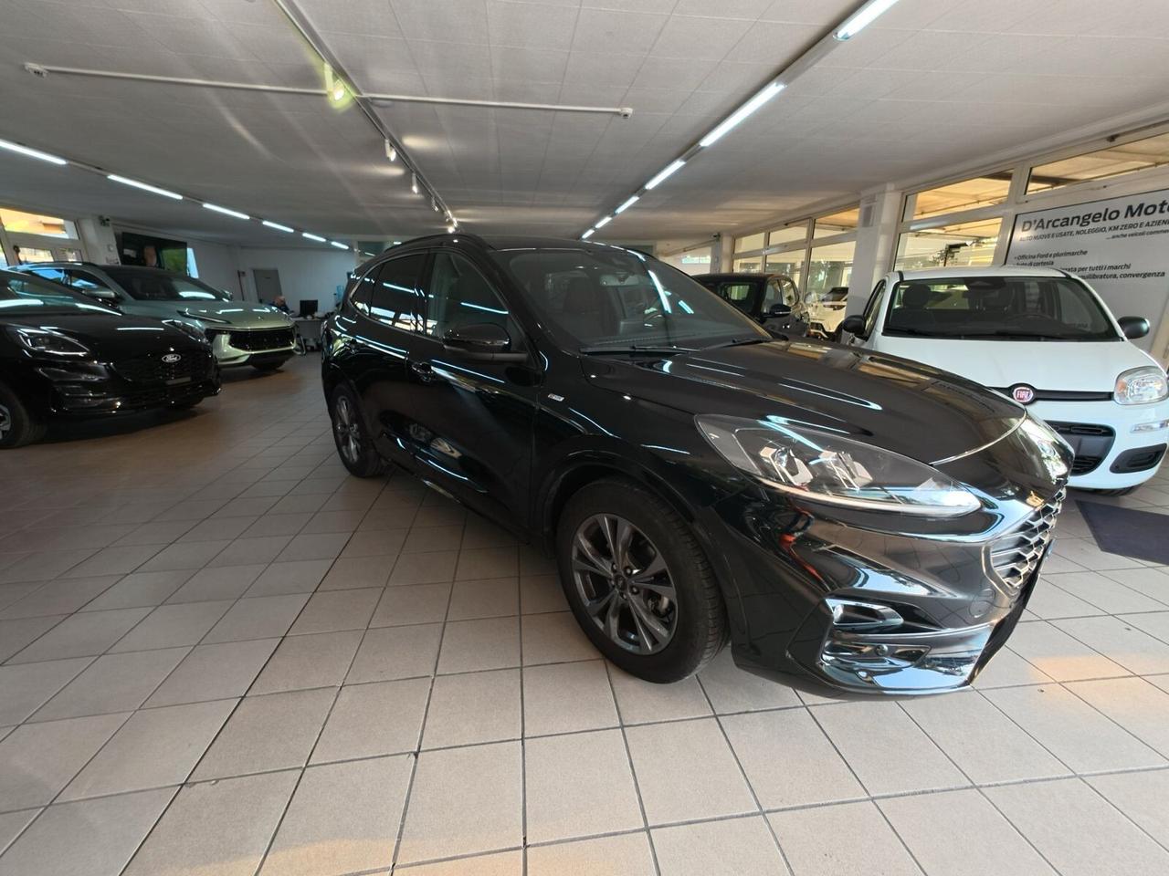Ford Kuga 1.5 EcoBlue 120 CV 2WD ST-Line MANUALE