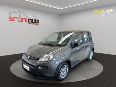 FIAT Panda Panda 1.0 firefly hybrid s&s 70cv 5p.ti - PROMO SIRONIAUTO+