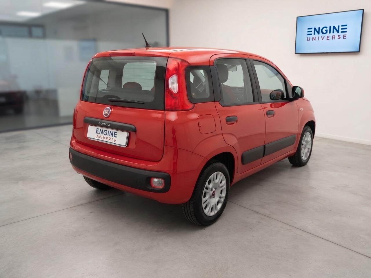 Fiat Panda 1.2 Lounge S&S (My19) - NEOPATENTATI