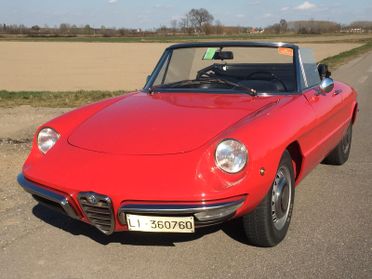 Alfa Romeo Spider JUNIOR